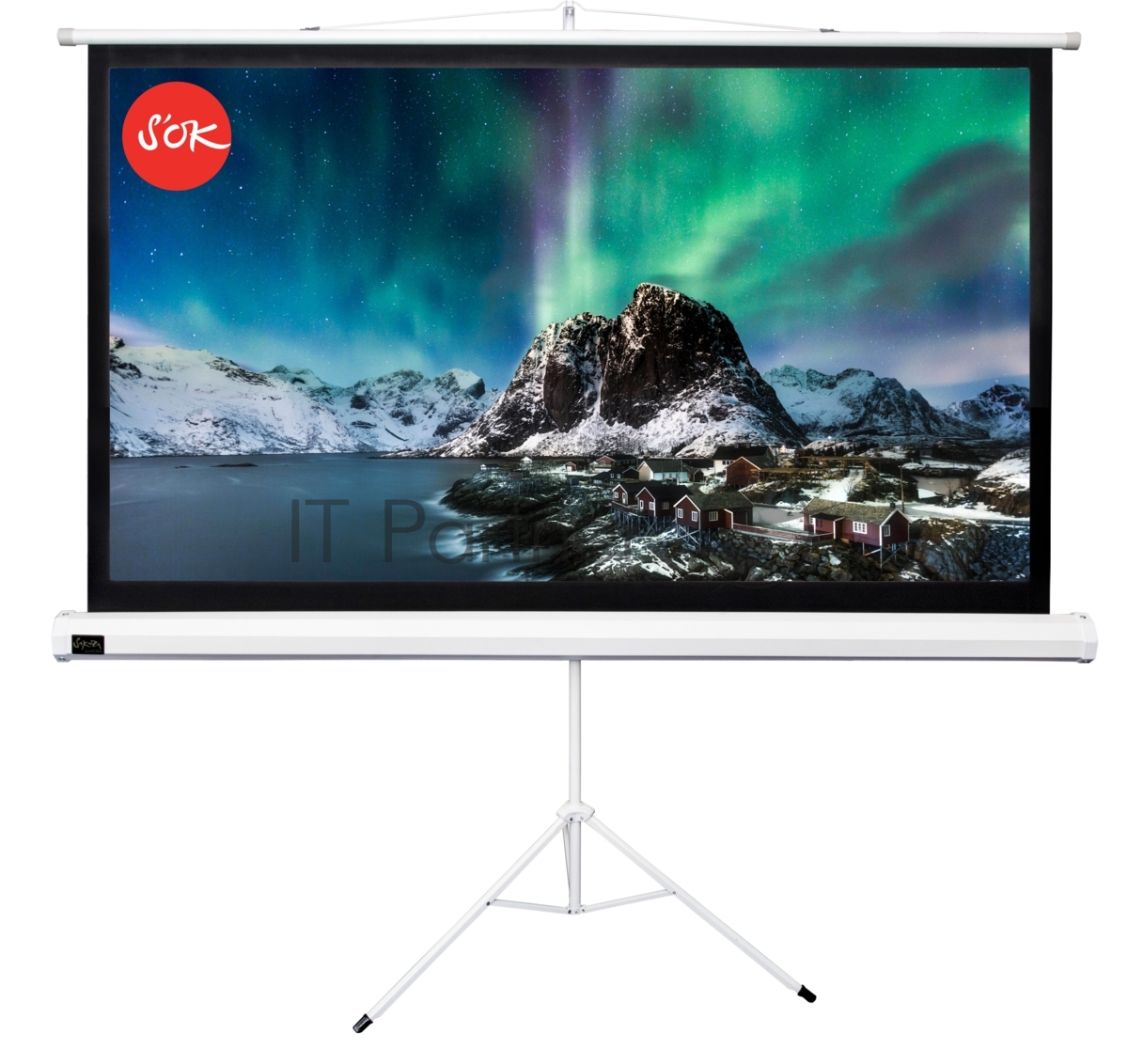 Экран 221x124.5см TriScreen 16:9 напольный рулонный белый  100' Matt White (MW), серый корпус