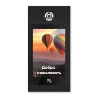 BAS-IP AA-14FB black СКУД