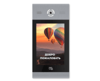 BAS-IP AA-14FB silver СКУД