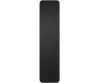 BAS-IP SP-AU black СКУД